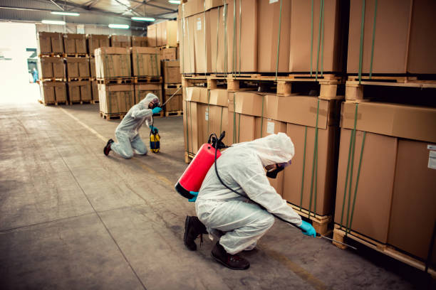 Best Pest Removal Services  in Logansport, IN