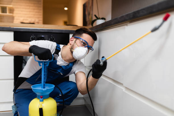 Best Local Pest Control Services  in Logansport, IN