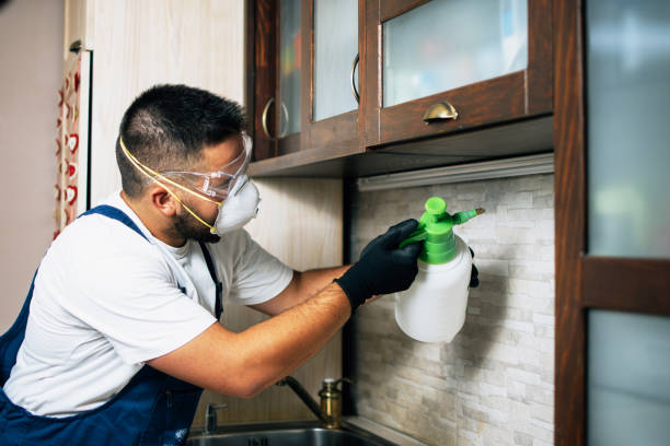 Best Best Pest Control Companies  in Logansport, IN