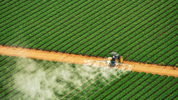Best Commercial Pest Control Services  in Logansport, IN