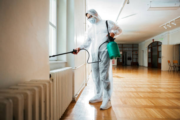 Best Termite Control Services  in Logansport, IN