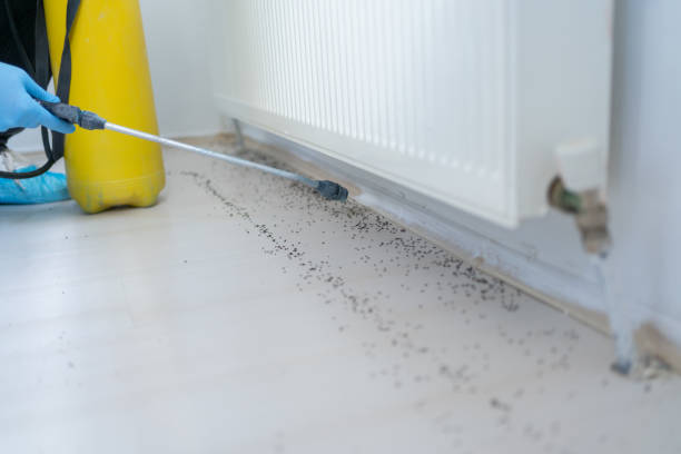 Best Cockroach Control Services  in Logansport, IN