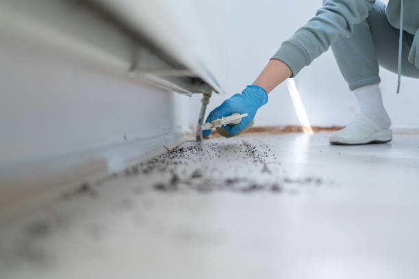 Best Cockroach Control Services  in Logansport, IN
